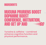 Willpowders Brain Powder Nootropics Energizer