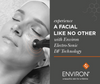 Environ Facial