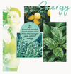Neom Essential Oil Blend - Boost Your Energy